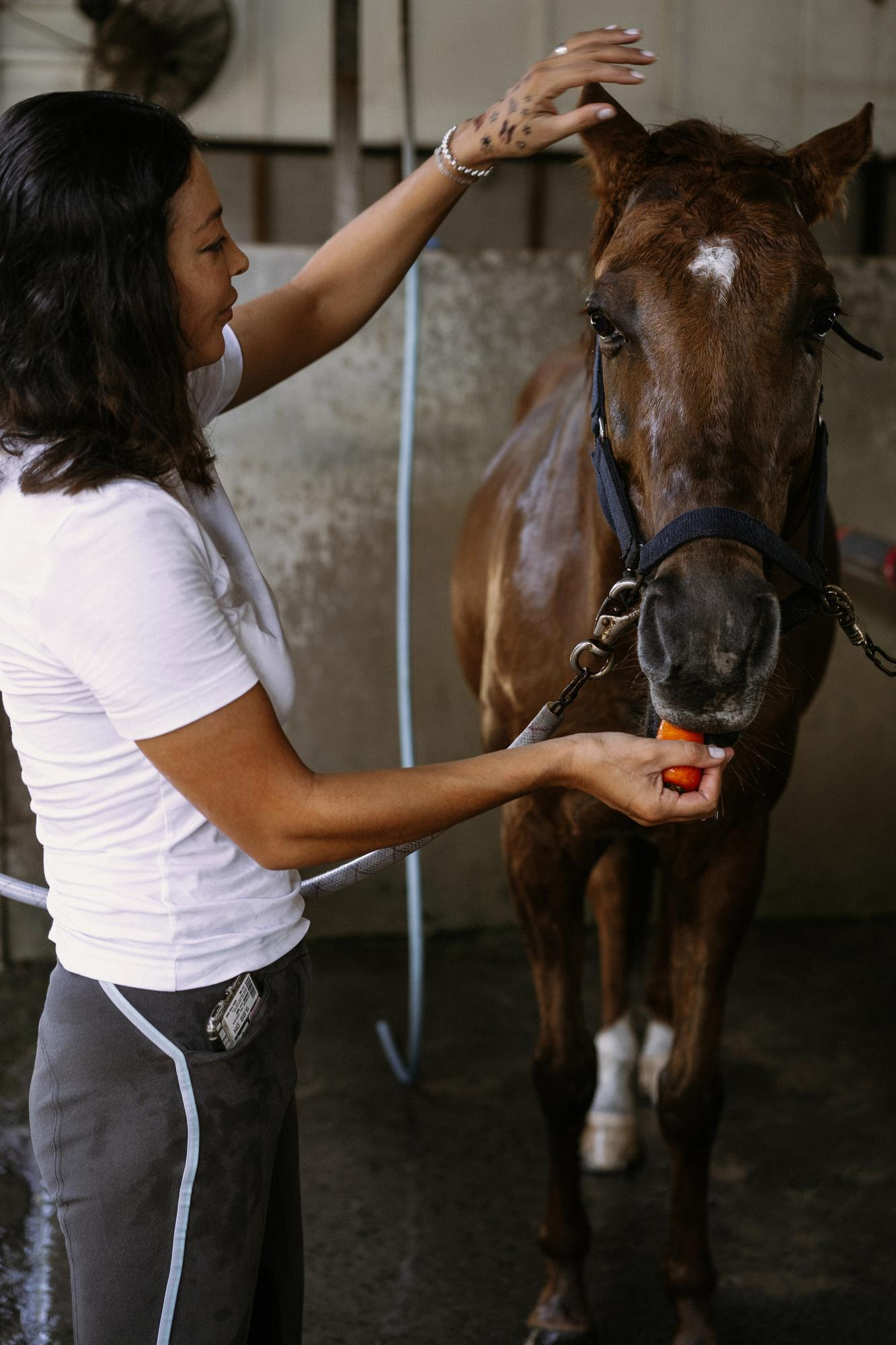 Woman with horse
